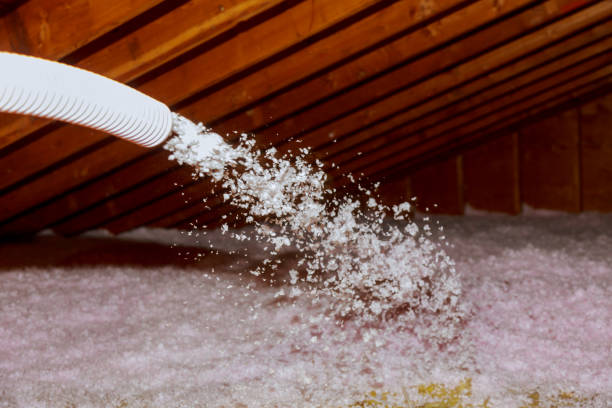 Best Cellulose Insulation  in New Beaver, PA
