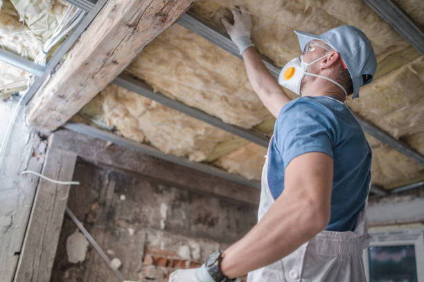 Best Insulation Replacement Services  in New Beaver, PA