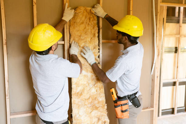 Best Insulation for New Construction  in New Beaver, PA